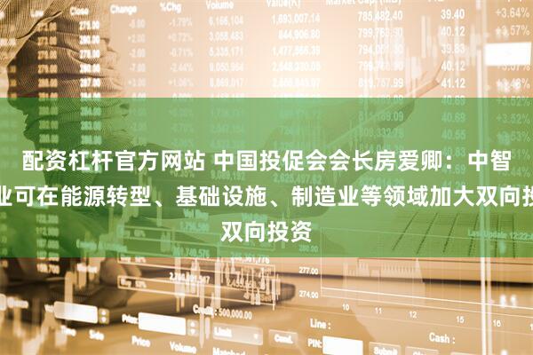 配资杠杆官方网站 中国投促会会长房爱卿：中智企业可在能源转型、基础设施、制造业等领域加大双向投资
