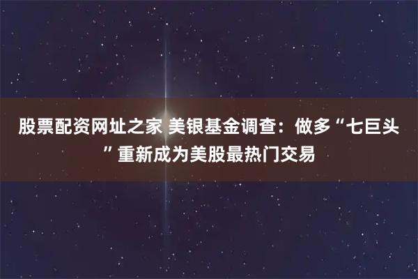股票配资网址之家 美银基金调查：做多“七巨头”重新成为美股最热门交易