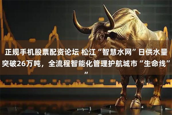 正规手机股票配资论坛 松江“智慧水网”日供水量突破26万吨，全流程智能化管理护航城市“生命线”