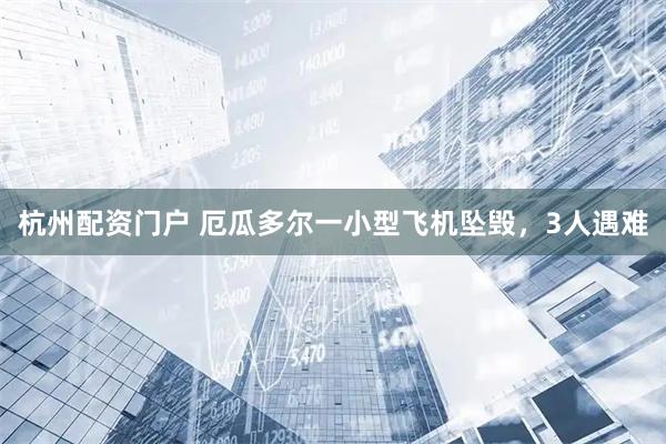 杭州配资门户 厄瓜多尔一小型飞机坠毁，3人遇难